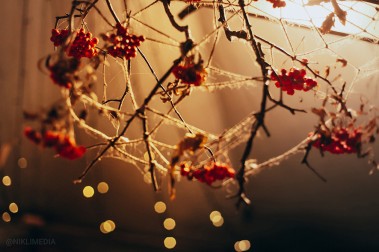 Solar Systo Togathering 2024. Осень