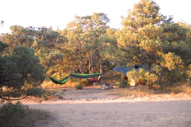 Space of Joy InЖир 2011