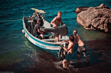 Space of Joy InЖир 2012