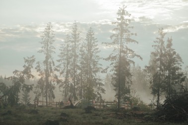 Solar Systo Togathering 2025