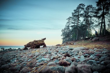 Solar Systo Togathering 2025