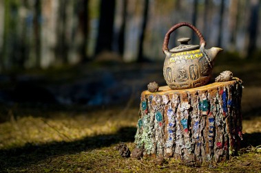 Solar Systo Togathering 2011