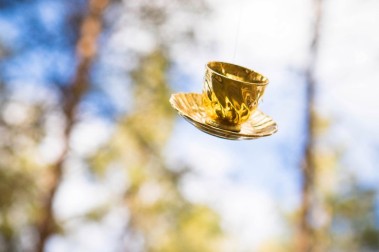 Solar Systo Togathering 2017