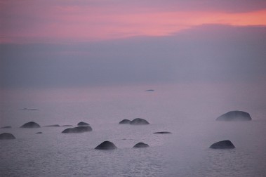 Systo Palty Togathering 2008