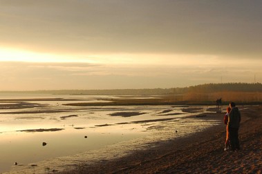 Systo Palty Togathering 2008