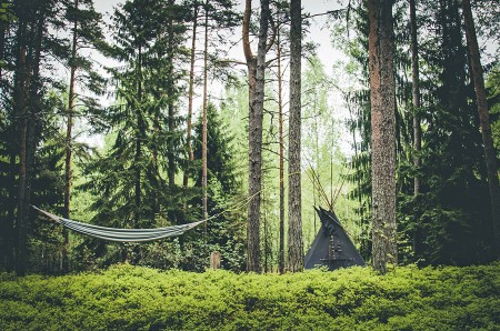 ВАЖНОЁ ОБЪЯВЛЕНИЕ ОБ ОРГВЗНОСАХ!!!