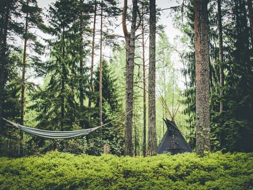 ВАЖНОЁ ОБЪЯВЛЕНИЕ ОБ ОРГВЗНОСАХ!!!