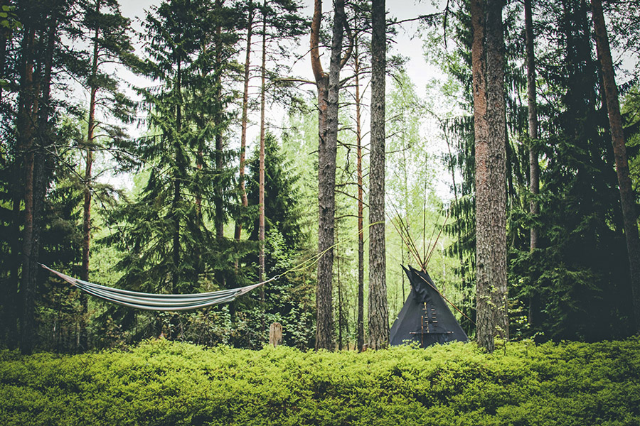 ВАЖНОЁ ОБЪЯВЛЕНИЕ ОБ ОРГВЗНОСАХ!!!