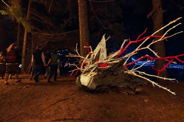 Solar Systo Togathering 2025. Осень 