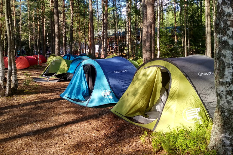 АРЕНДА ПАЛАТОК