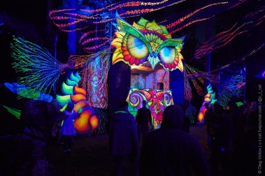 Solar Systo Togathering 2015